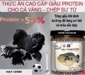 Cám cá vàng JIZHEN/PORPOISE 54% ĐẠM - Giải pháp tăng đầu lân hiệu quả cho cá vàng Hulx. 
