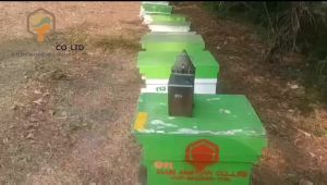 น้ำผึ้งป่าเดือน5.เกรดพรีเมี่ยม ตราฮันนี่ควีน ขวดบีบฝาฟลิ๊บล๊อค 1ขวด