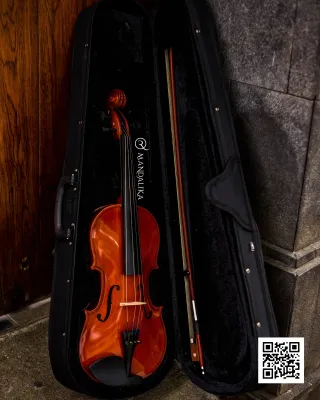 Promo Biola Akustik 4/4 Merk Mandalika Fullset Hardcase