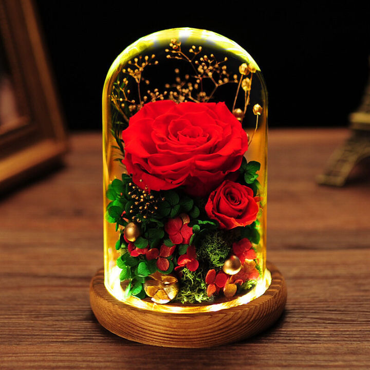 Eternal Rose,Preserved Forever Rose,Handmade Rose Flower,Real Eternal Roses  Preserved Flowers Gift with LED Lights Glass Dome for Valentine's Day