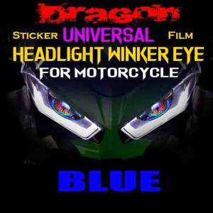 D5 Universal Winker Eye Sticker for Motorcycle and Car/WINKER EYE/DRAGON EYE