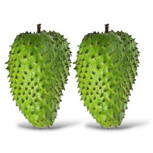 Buah Sirsak replika / Replika buah buahan/ dummy buah / Mainan anak / Edukasi anak / Dekorasi meja makan / Display Restaurant Hotel Dan lain lain