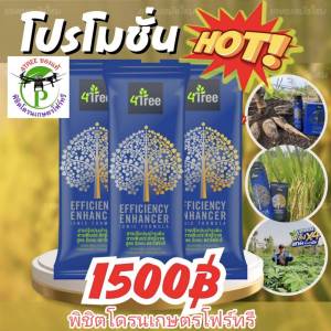 [3 ซอง] 4Treeของแท้​ โฟร์​ทรี สารเสริมประสิทธิภาพพืชสูตรอิออน ช่วยเร่งราก พืชโตเร็ว ทำให้พืชเขียวทน ใช้ได้กับพืชทุกชนิด นวัตกรรมใหม่จากประเทศอิสราเอล ของแท้100%