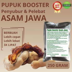 Pupuk Booster Asam Jawa / Obat Booster Asam Jawa / Pupuk Booster Asam Jawa / Pupuk Asam Jawa