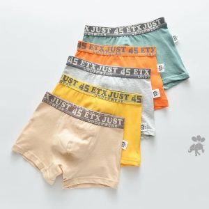 Casual 5 Piece/pack Toddler Boys Panties Cotton Childrens Letter Print Underpants Young Boys Comfortable Boxers 4 8 12 13 Years2026