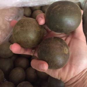 La hán quả (5 quả) quả la hán trà la hán giúp thanh nhiệt mát gan giải nhiệt cơ thể mùa hè