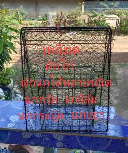 เพนียดต่อนกดักนก 2 ทาง แบบมีกรง กว้าง 47 ยาว 57 เซน ดักนก ต่อนก ได้หลายชนิดน้ำหนักเบา ดักง่าย เก็บง่าย โครงสร้างแข็งแรงใช้งานได้ผลดี