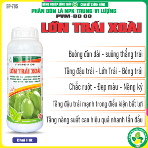 LỚN TRÁI XOÀI – Buông Đòn Dài Suông Thẳng Trái Tăng Đậu Trái Lớn Trái Bóng Trái Chắc Ruột Đẹp Màu Nặng Ký (Chai 1 Lít)