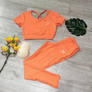 Đồ tập yoga nữ tập gym set bộ áo crop ngắn tay kèm mút quần dài thun poly co dãn tốt nhiều màu Bin Sports BD191