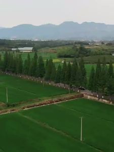 Complete Set of Tea Brewing Equipment for Outdoor Heating Barbecue Grill Rack Fire Pit Set Charcoal Stove Skewer Grill and Barbecue Grill [ Free Shipping ]