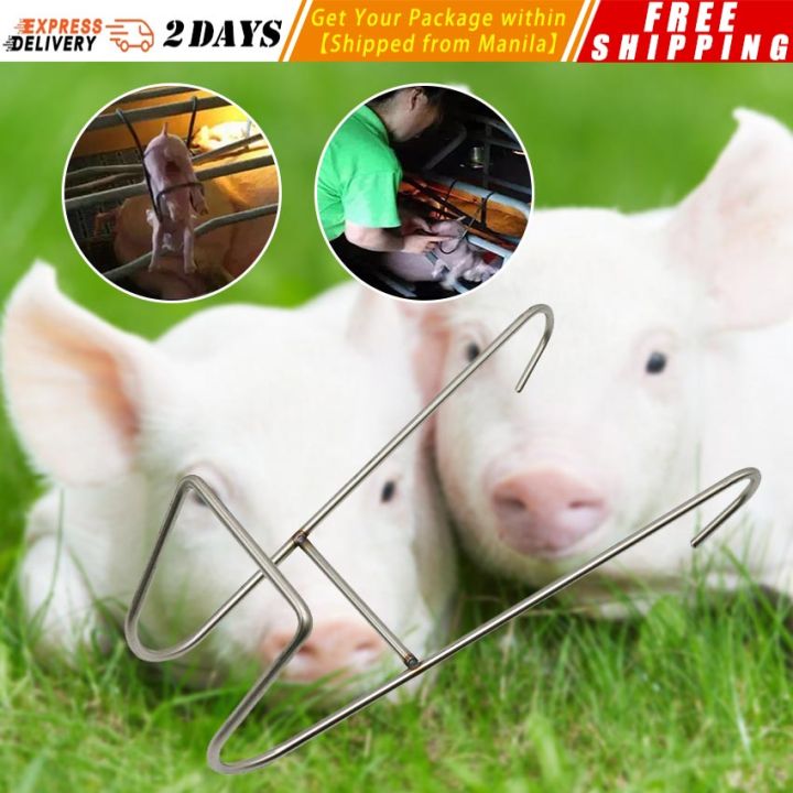 Stainless Steel Piglet Castration Rack - Adjustable Operation Table For Pig Castration, Docking & Injections, Two Sizes, Easy To Clean