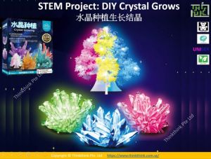 STEM Project:DIY Crystal Grows