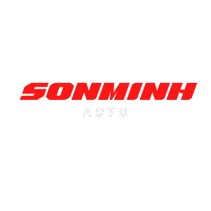 Lót cốp xe máy HONDA PCX 125 150 160 HYBRID chất liệu da cao cấp cách nhiệt chống nóng chống trầy xước thiết kế có túi để giấy tờ xe tiện dụng Bảo Vệ Đồ Đạc Cốp Xe - Lazada