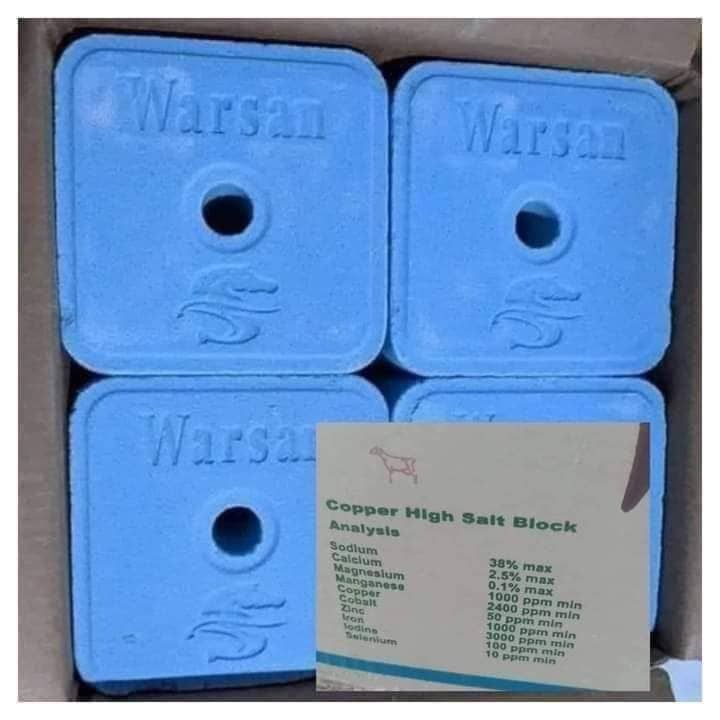 Mineral Salt Block for Goats/Cattle/RuminantsBlue Lazada PH