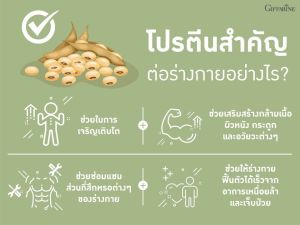 กิฟฟารีน โปรตีนเสริม วีแกนโปรตีน โปรตีนพืช โปรตีนเชค โปรตีนจากพืช สูตรไม่หวาน วีแกน มัลติ แพลนท์ Vegan ร้านKGC