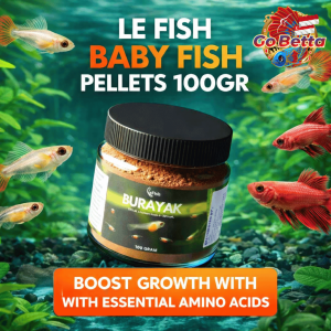 🇸🇬 Fish Food Fry Powder LE FISH 100g | Essential Amino Acid High Protein Micro Formula for Betta Guppy Goldfish Louhan Fry | Rapid Growth Acceleration & Survival Rate Support 75–80% | Ultra Fine Powder for 4 Day Old Baby Fish | Premium Breeder Nutrition