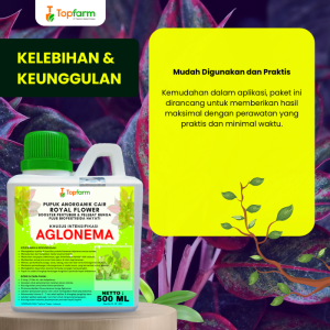 Pupuk Topfarm / Pestisida Topfarm / Pupuk Dan Obat Tanaman Aglonema / Pupuk Bunga Aglonema 1 Paket / Obat Anti Bakteri Aglonema / Obat Hama Aglonema /Obat Kilap Daun Aglonema / Obat Semprot Tanaman Aglonema