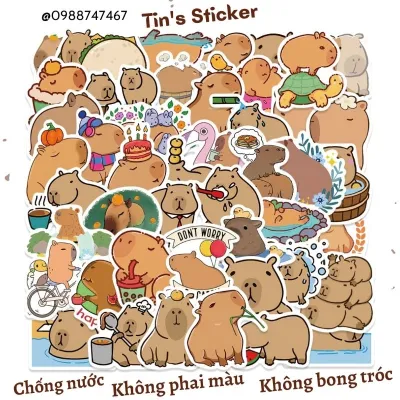 Set combo 10 30 50 miếng dán sticker Capybara dán nón mũ bảo hiểm laptop vali sổ tay đàn guitar điện thoại tủ lạnh xe máy