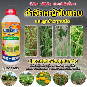 คลีโทดิม 1 ลิตร นิตโตะ สารกำจัดวัชพืชใบแคบ ทุกชนิด ฉีดทับ พริก ถั่ว มะเขือ เผือก มันสำปะหลัง ถั่ว แตง หอม คะน้า ผักใบ ตรานกยูงทอง