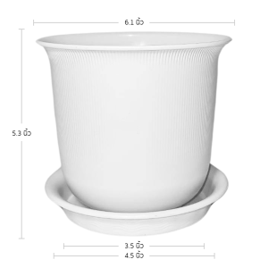 กระถาง กระถางต้นไม้ มินิมอล ถ้วยจีน+จาน ขนาด 6 นิ้ว สีขาว 5 ใบ ชิ้น อัน