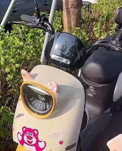 Electric Vehicle Phone Holder Standard for Delivery Riders Car Navigation Electric Bike Bicycle Motorcycle Gravity Sensing [ Free Shipping ]