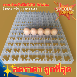 ลดราคา 3วันเท่านั้น ถาดฟักไข่ไก่ 88 ฟอง ถาดนกกระทา 221ฟอง  50x36x3 cm
