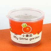My Little Garden Children Planting Kit Potted Mini Plant Growth Sprouting Seed Box for Kids Gardening Fun