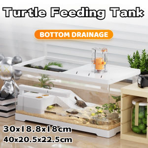 Turtle Tank Desktop Ecological Landscape Box Large Capacity Amphibians Reptiles Aquarium Home Decor