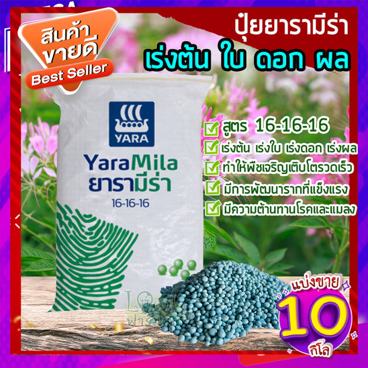 ปุ๋ย YaraMila สูตร 16-16-16 (10 กก.) เร่งการเจริญเติบโต