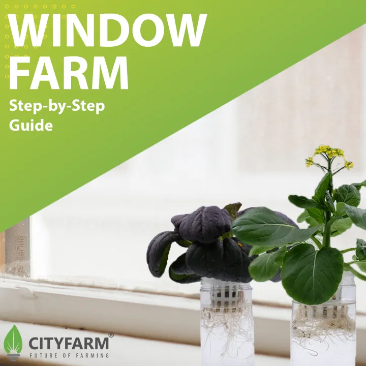 Window Farm Gi City Window Farm | Lazada