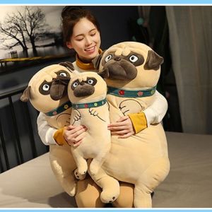 Gấu Bông Chó mặt xệ chó Pull Thú nhồi bông hình cún dễ thương