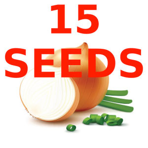 Green House® - Yellow Onion Hybrid Seeds for Planting Vegetable Plants (30 Seed)  incl. Instruction for Sibuyas Plant