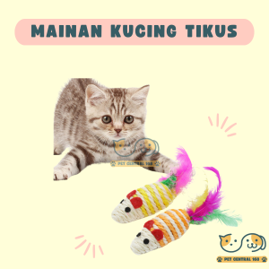 Mainan Tikus Warna Warni Untuk Kucing Dan Anjing Mainan Hewan Peliharaan Pet Toys