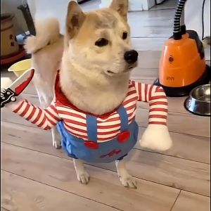 Dog Funny Clothes Pet Standing Outfit Chucky  Cosplay Halloween Costume Party New Arrival Clothing