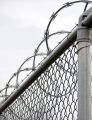 Combat Wire ▪️ Military Barbed Wire ▪️ Razor Wire ▪️ Blade Wire▪️ Security Wire for Farm House Fence. 