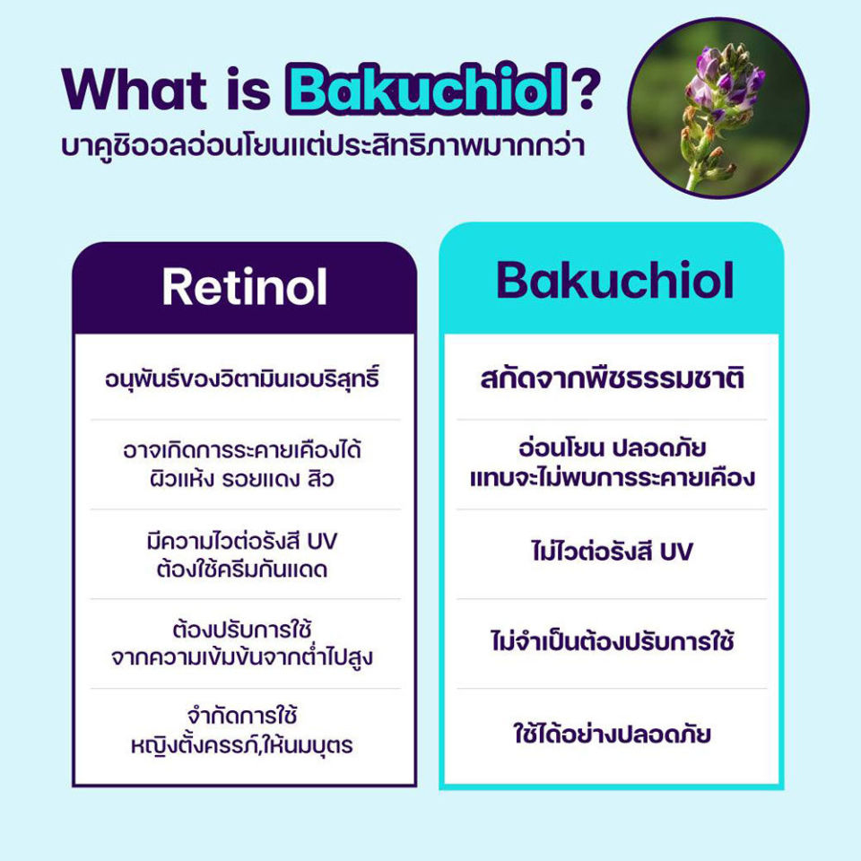 รายละเอียดสินค้า