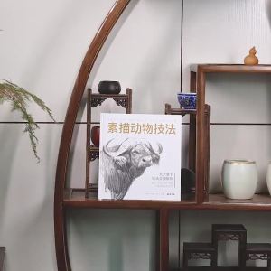 (In stock) Pencil Hand Drawing Books Painting Book Sketch Animal Techniques Getting Started Copy Tutorials Zero Foundation Textbook