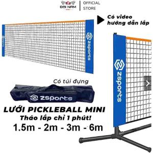 Bộ Khung Lưới Pickleball Mini Sử Dụng Cho Gia Đình Và Đi Chơi Có Túi Đựng Quai Xách Chính Hãng Đại Nam Sport
