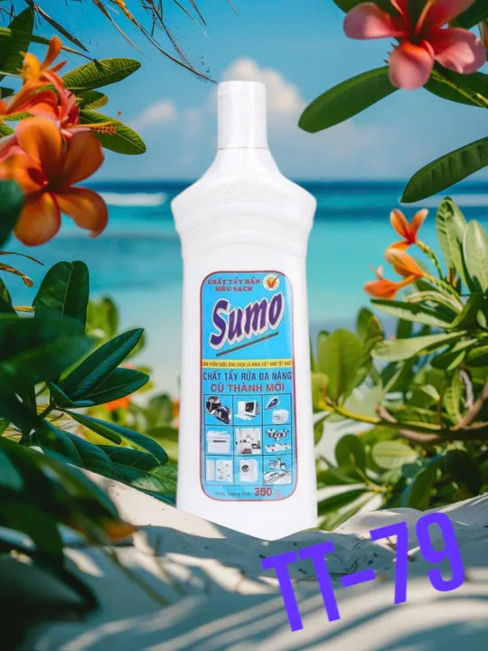 T%E1%BA%A8Y%20SUMO%20-%20Image%204