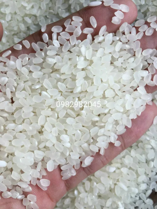 5kg gạo séng cù đặc sản Văn Chấn Yên Bái