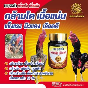 สร้างกล้ามเนื้อ เนื้อแน่น แข็งแรง กล้ามโต เยื้อแน่น เพชรดำกล้ามโตเนื้อแน่น กล้ามแน่น จำนวน2กระปุก เพิ่มกล้ามเนื้อ เพื่อเก็บสะสมพลังงาน อาหารบำรุงไก่ชน