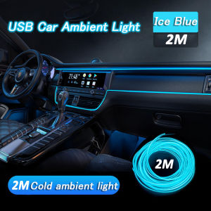 5M Car Interior Atmosphere Light Strip Auto Flexible Streamer Lamp Usb Cold Light Door Light Strip Auto Decoration