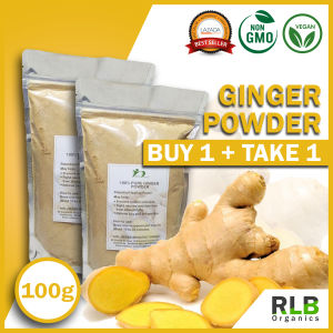 Buy 1 Take 1 100 grams Pure Ginger Powder - 100% Pure Antioxidant Superfood - No Artificial Additives