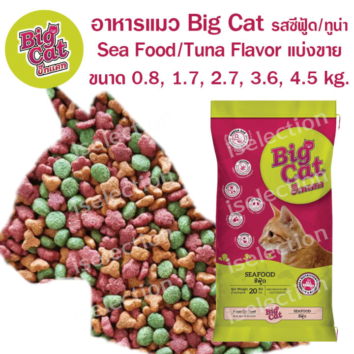 10 อันดับ อาหารแมวทั่วไป ยี่ห้อไหนดี? อัปเดตปี 2025