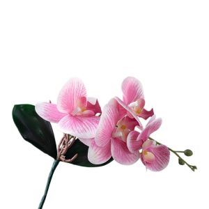 ADALIA Cloth Artificial Moth Orchids Vivid Realistic Fake Butterfly Orchid Vase Arrangement with Leaves Simulation Phalaenopsis Garden Home Decoration