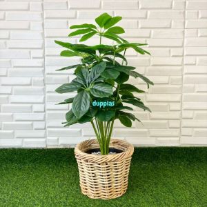 Pohon Hias Tanaman Artificial Anubias Hijau X18 Semilatex Cover Anyaman Rotan Bulat Pajangan Dekorasi Studio
