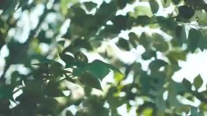 Dr.G GREEN MILD UP SUN+ 70ml BRIGHTENING UP SUN+ 50ml SPF50+ กันแดด ดวงอาทิตย์อ่อนสีเขียว+ผลรวมของความสว่าง