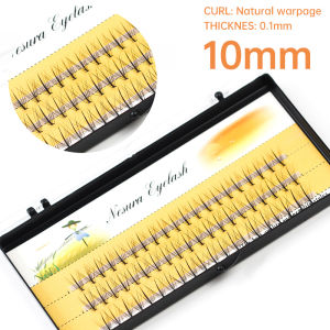 [COD]Sekelompok Bulu Mata Palsu Individu Peralatan Kecantikan Tanam Natural Keriting Hitam untuk Ekstensi Bulu Mata Palsu -💖Catherine