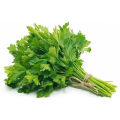 Combo 2 gói Rau Cần Tàu (Cần Tây Nhỏ) - 100g/gói. 