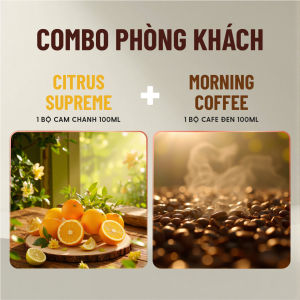 Combo 2 Bộ Tinh Dầu Thơm Phòng Khuếch Tán Cắm Que 100mL Bình Nâu HENY GARDEN Mùi Hương Thư Giãn